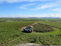 De Hooglanden Van Malawi