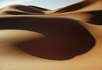 Dunes de sable dans le désert du Sahara