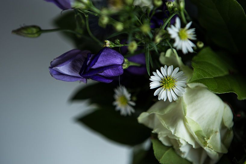 Donkere bloemenspel par Anna H Span