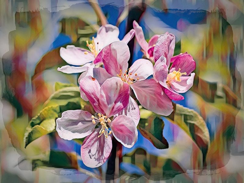 Rosa Blüte von Rob Boon