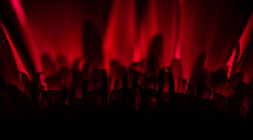 Fiery Red by Patrick Schwarzbach