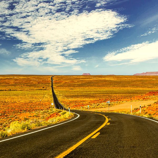 Panorama Landschaft Weites Land Highway im Westen der USA von Dieter Walther