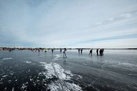 Nieuwkoopse Plassen in winter with ice