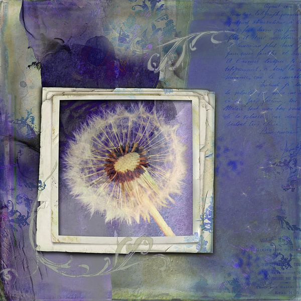La beauté est partout - pissenlit par Studio Papilio