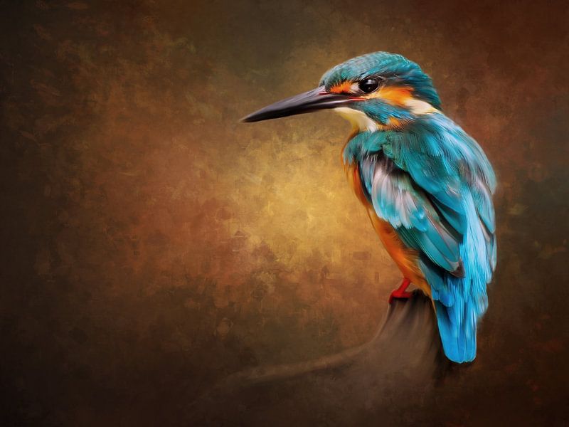 Tier 11 von Silvia Creemers