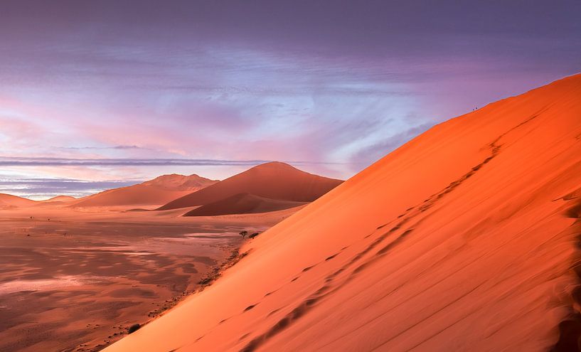 Dune 45 par Elsemiek Deug