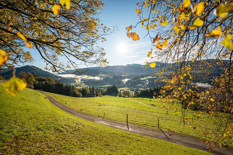 Automne à Oberstaufen avec vue sur le Staufen et le Hochgrat par Leo Schindzielorz