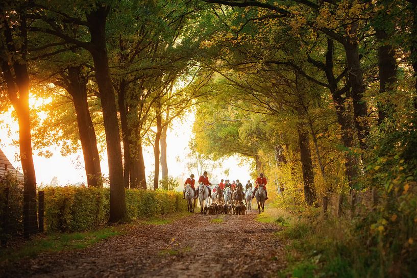Rutschjagd auf dem Weg zum Endpunkt mit der Hundemeute von Caroline van der Vecht