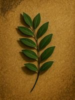 Die Macht der Herkunft