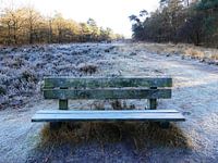 Eenzame bank op Landgoed Warnsborn