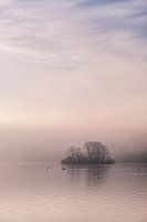 A morning at the Kralingse Plas