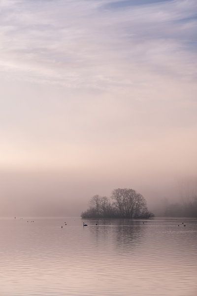 A morning at the Kralingse Plas by Annemieke Klijn