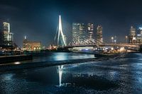 erasmus bridge