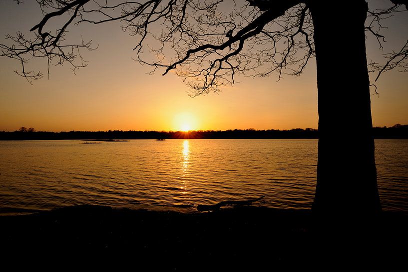 Sonnenuntergang in einem ven von Gonnie van de Schans