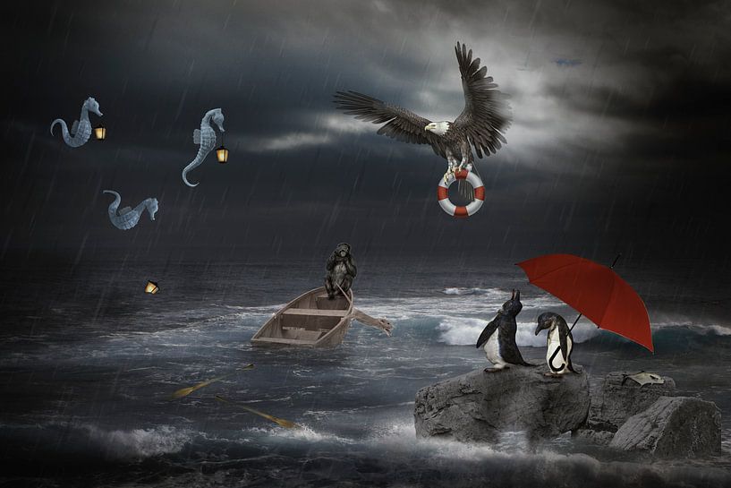 Animaux en détresse en haute me par Puravida - Photographie et art photographique