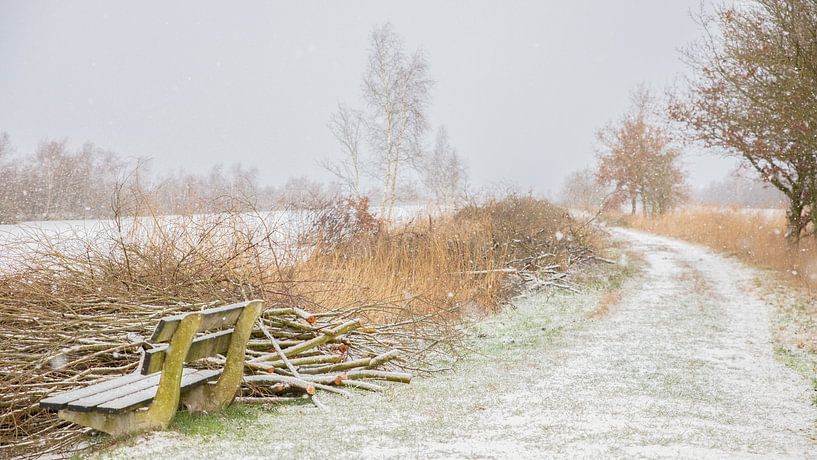 Winter auf den Deelen 1 von anne droogsma