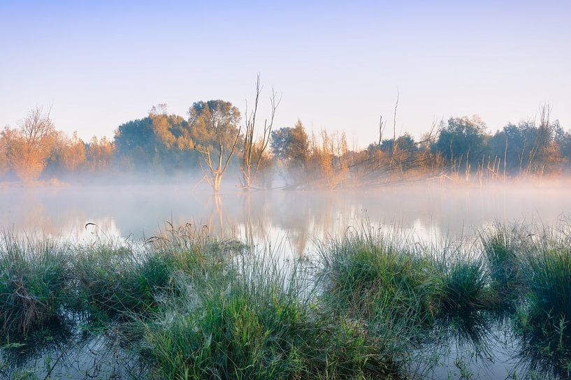 Misty Morning Light over the Broekpolder. Serene Nature Wall Art by Original Mostert Photography