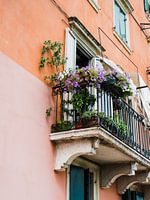 Rosa Haus mit Blumen auf dem Balkon in Verona