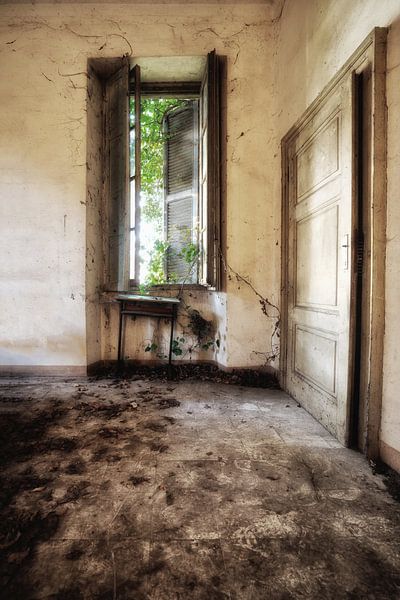 Naturschule von Kirsten Scholten