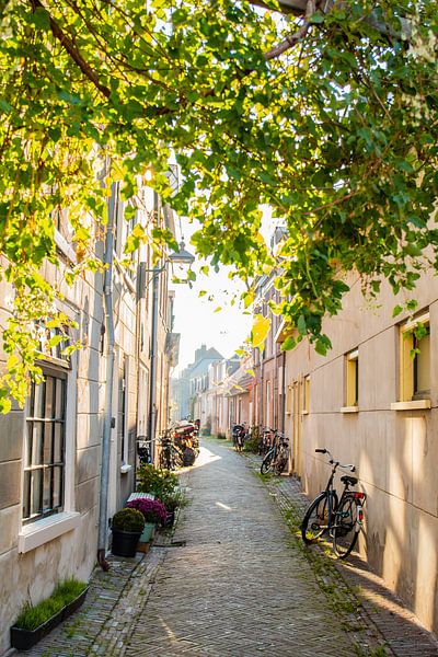 Fahrspur_01 von Johan Honders