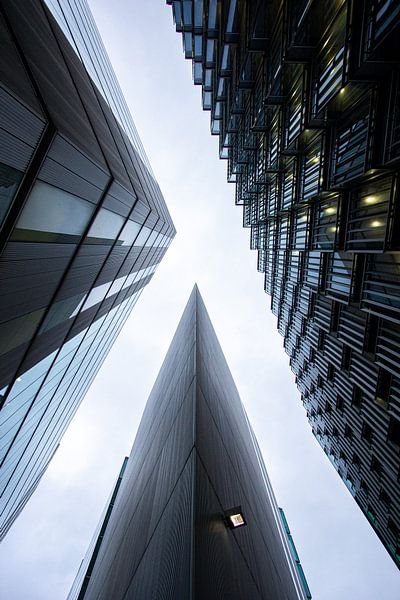 Trinity by Milan Markovic