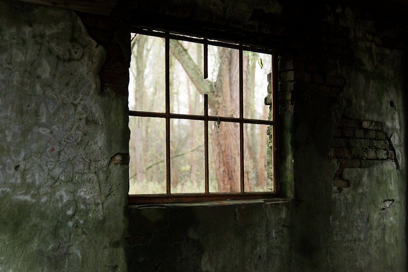 Ruine van oude werkplaats by Cilia Brandts