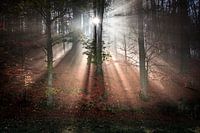 The best moments of autumn