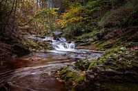 Die Hoëgne im Herbst