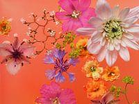 Composition de fleurs colorées bain de fleurs