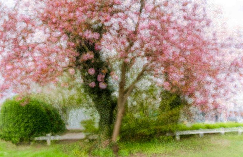 Pointillism by Aimé de Clercq