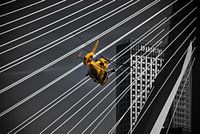 Hubschrauber in Aktion vor der Erasmus-Brücke in Rotterdam