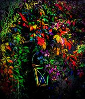 Caché sous les feuilles de vigne