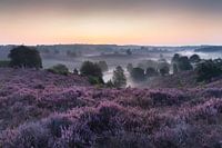 Sonnenaufgang über einer nebligen Posbank
