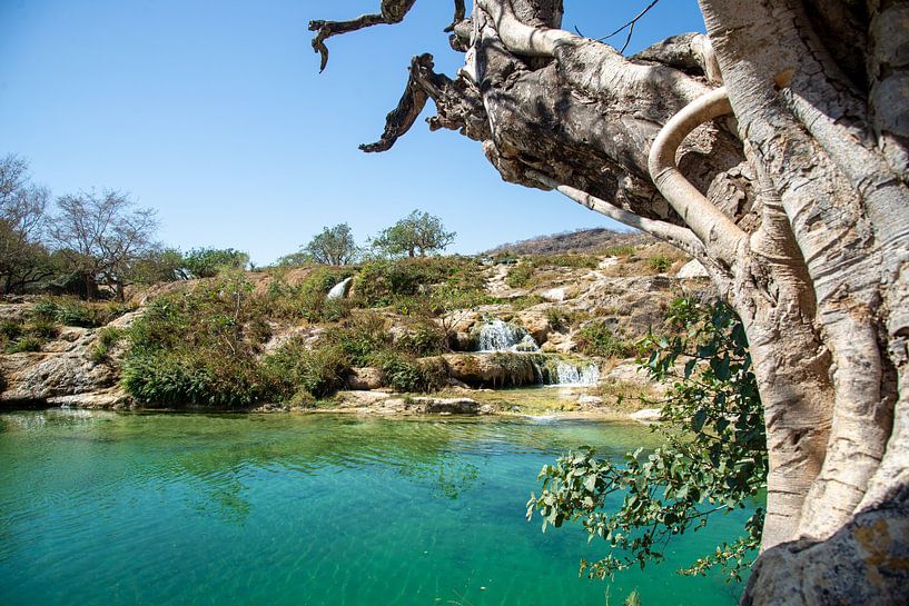 Wadi Darbat, Dhofar, Oman by Jan Fritz