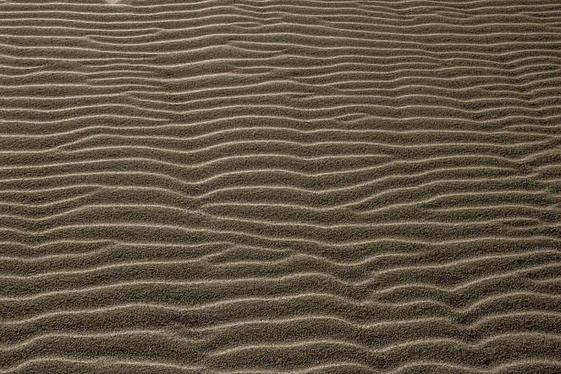 Transversal by Mario de Lijser