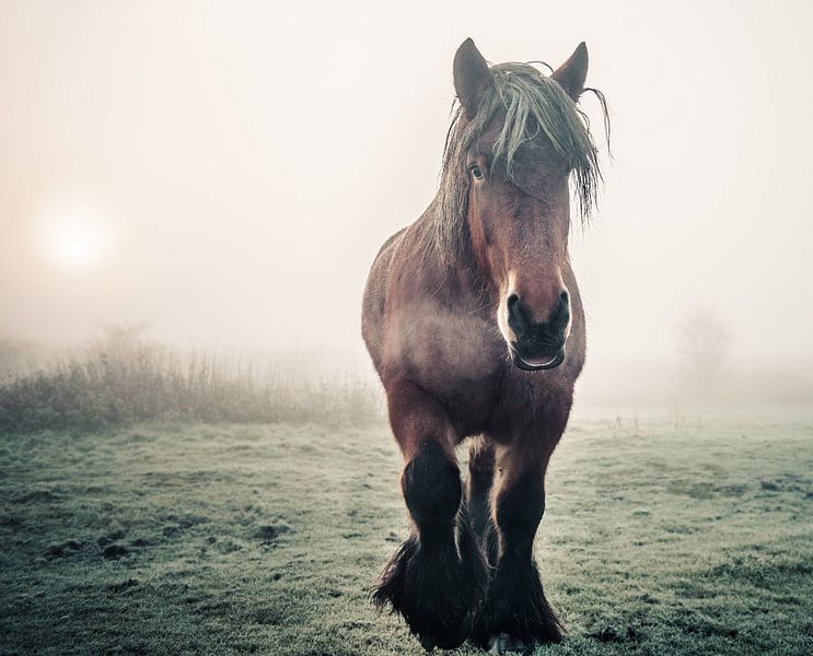 Smokin' par Ingeborg Ruyken