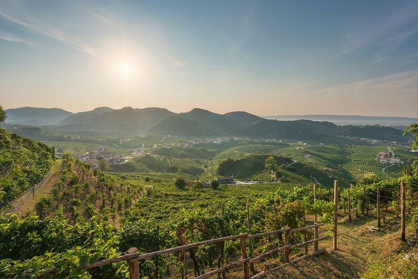 Prosecco Hills, vineyards panorama in the morning. Italy by Stefano Orazzini