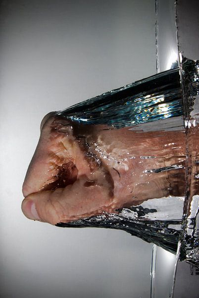 Auswirkungen von Frank Quax