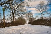A snowy path under a blue sky
