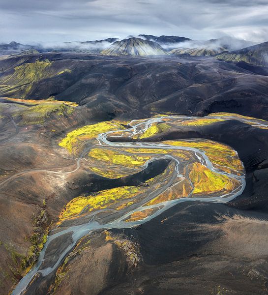 A river in Iceland by Niels Tichelaar