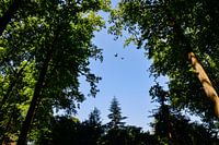 Nederland, Utrechtse Heuvelrug