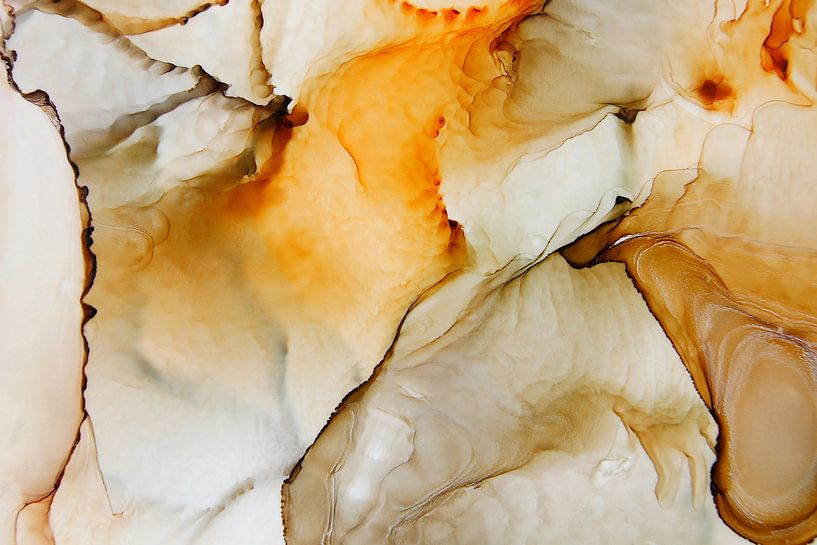 Color of the world by Carla Mesken-Dijkhoff