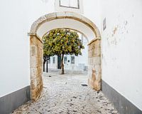 View through Faro | Algarve, Portugal | Travel Photo