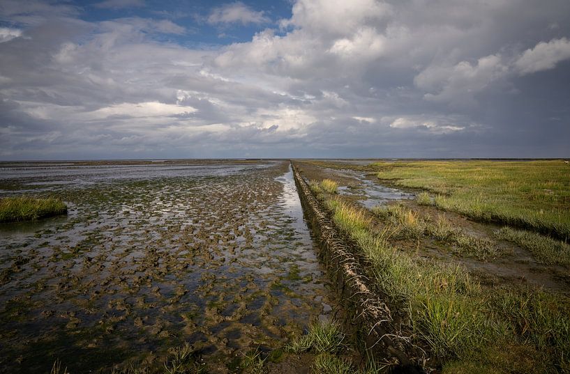 Rijsdam in the salt marshes of Groningen by Bo Scheeringa Photography