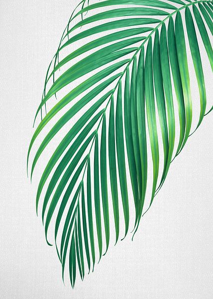 Palm Leaf by Gal Design