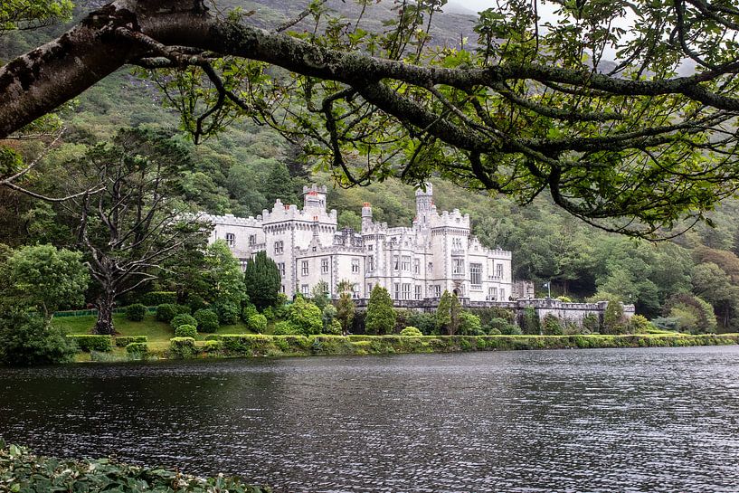 Irland von Eric van Nieuwland