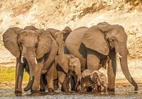 Gemeinsam sind wir stark!