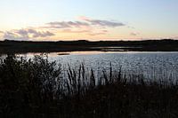 Abendlicht über dem See bei West aan Zee, Terschelling