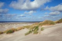 Dünenlandschaft auf Terschelling