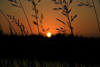 Zonsondergang Woerden